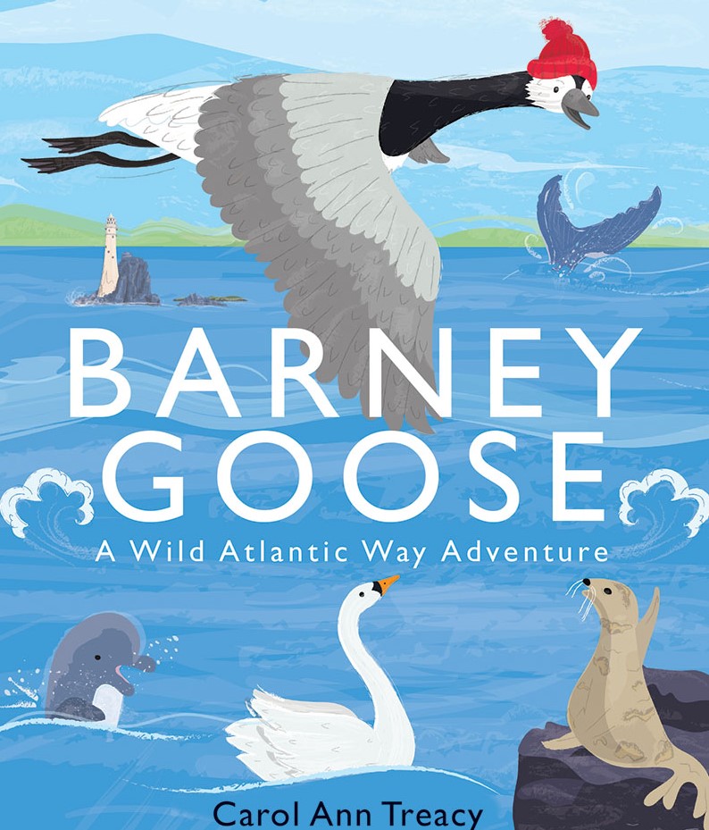 Barney Goose, A Wild Atlantic Way Adventure 