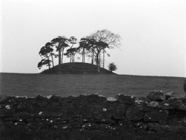 Fairy mound in Lattin, Co. Limerick. GPS 52°28 7.81 N 8°16 14.13 W